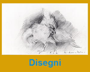 disegni1