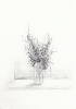 Disegni-10