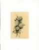Disegni-15