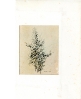 Disegni-1