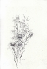 Disegni-3