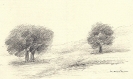 Disegni-7