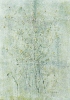 Fiori-15