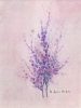 Fiori-29