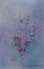 Fiori-36