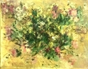 Fiori-3