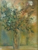 Fiori