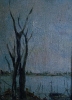 Paesaggi-10