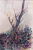 Paesaggi-18