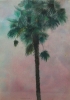 Paesaggi-19