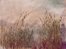 Paesaggi-23