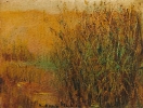 Paesaggi-24