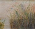 Paesaggi-27