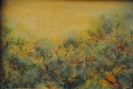 Paesaggi-30