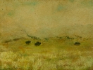 Paesaggi