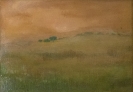 Paesaggi-48