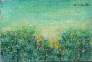 Paesaggi-53