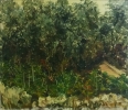 Paesaggi-6