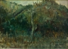 Paesaggi-7