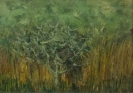 Paesaggi-8
