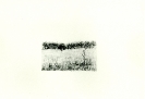 Serigrafie-3