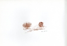 Serigrafie-6